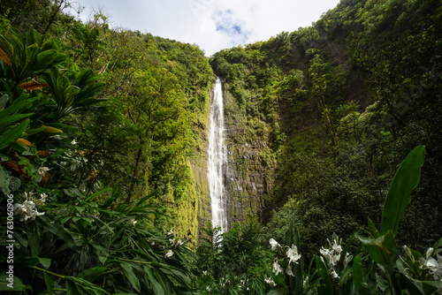 Fototapeta Naklejka Na Ścianę i Meble -  Hawaii waterfall illuminated by sun rays.