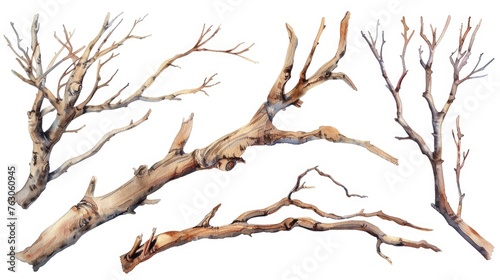 A realistic painting of a tree without leaves. Suitable for nature-themed designs