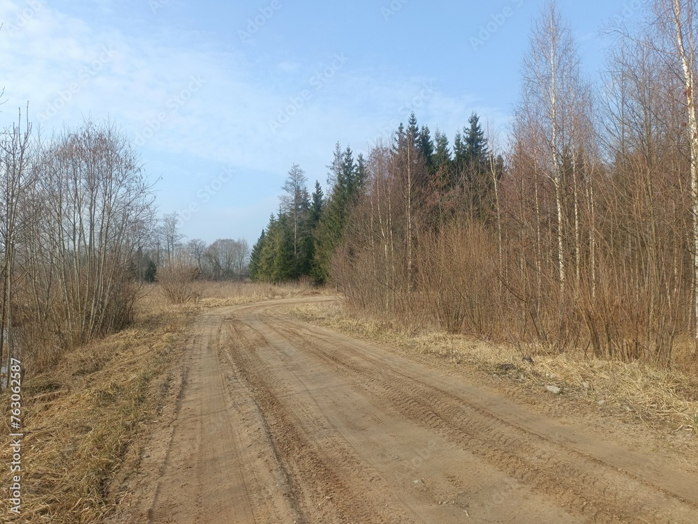 Road in forest in Siauliai county during cloudy early spring day. Oak and birch tree woodland. cloudy day with white clouds in blue sky. Bushes are growing in woods. Sandy road. Nature. Miskas.	