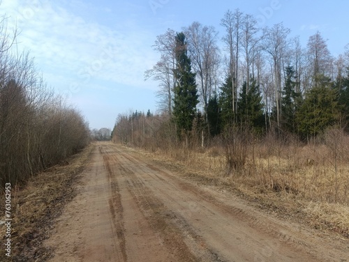 Road in forest in Siauliai county during cloudy early spring day. Oak and birch tree woodland. cloudy day with white clouds in blue sky. Bushes are growing in woods. Sandy road. Nature. Miskas. 