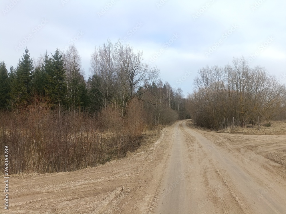 Road in forest in Siauliai county during cloudy early spring day. Oak and birch tree woodland. cloudy day with white clouds in blue sky. Bushes are growing in woods. Sandy road. Nature. Miskas. Road in forest in Siauliai county during cloudy early spring day. Oak and birch tree woodland. cloudy day with white clouds in blue sky. Bushes are growing in woods. Sandy road. Nature. Miskas.