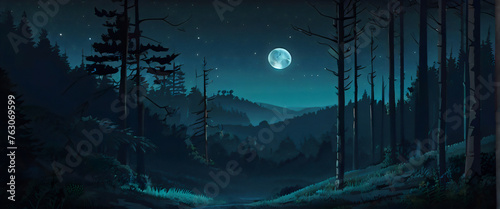night sky and moon