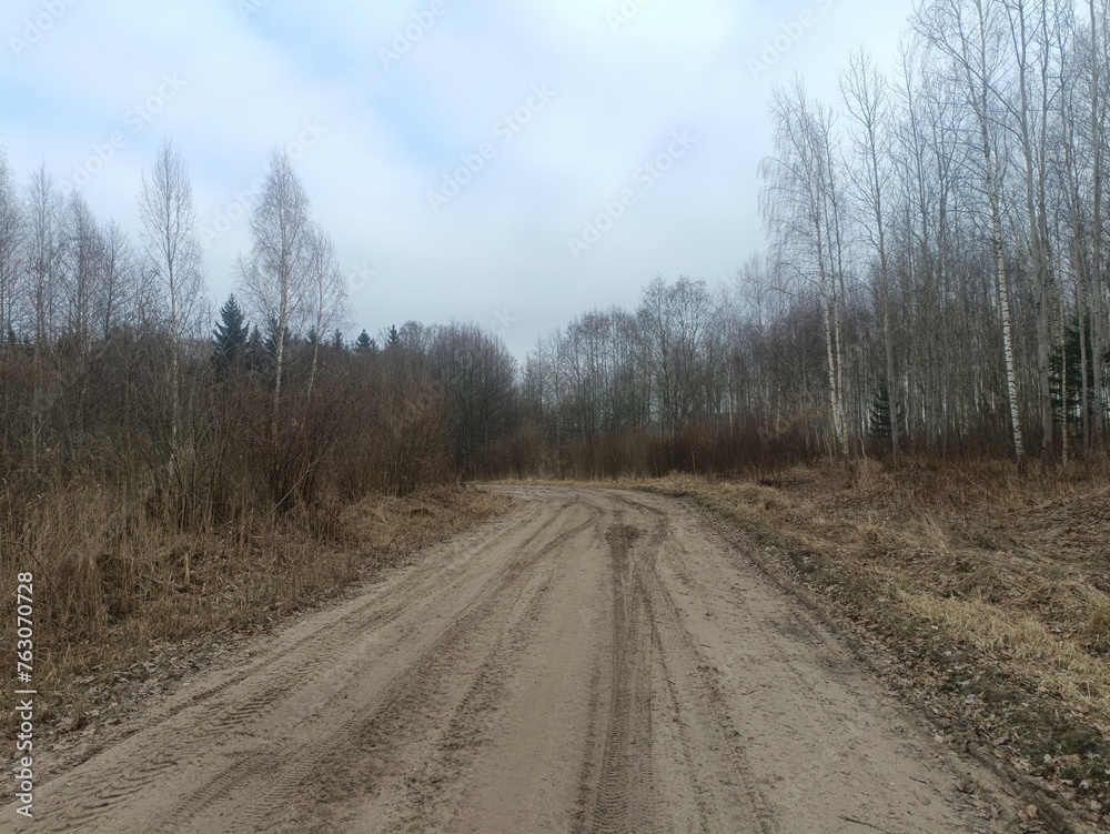 Road in forest in Siauliai county during cloudy early spring day. Oak and birch tree woodland. cloudy day with white clouds in blue sky. Bushes are growing in woods. Sandy road. Nature. Miskas. Road in forest in Siauliai county during cloudy early spring day. Oak and birch tree woodland. cloudy day with white clouds in blue sky. Bushes are growing in woods. Sandy road. Nature. Miskas.