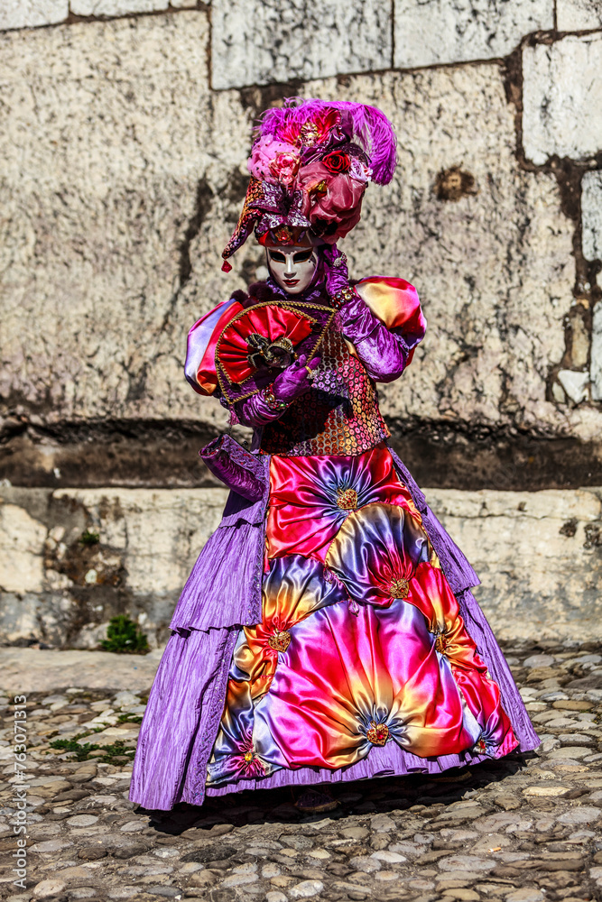 Disguised Person - Annecy Venetian Carnival 2014 Disguised Person - Annecy Venetian Carnival 2014