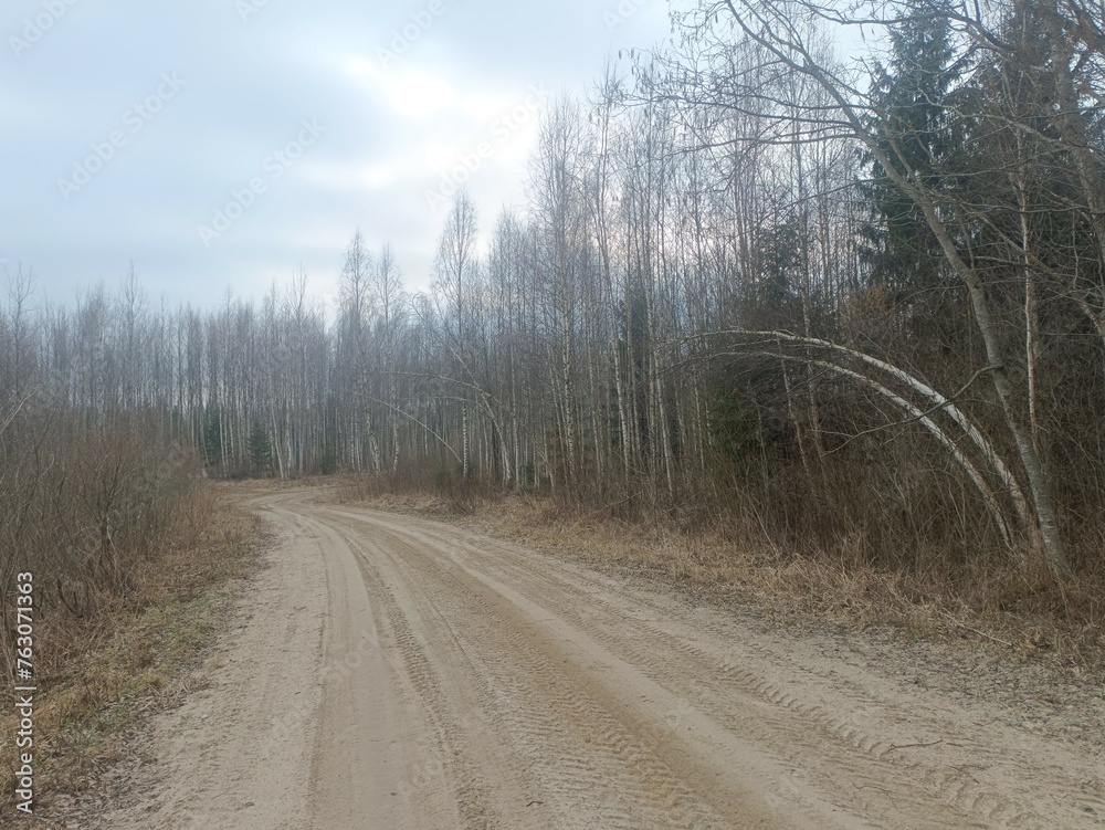 Road in forest in Siauliai county during cloudy early spring day. Oak and birch tree woodland. cloudy day with white clouds in blue sky. Bushes are growing in woods. Sandy road. Nature. Miskas. Road in forest in Siauliai county during cloudy early spring day. Oak and birch tree woodland. cloudy day with white clouds in blue sky. Bushes are growing in woods. Sandy road. Nature. Miskas.