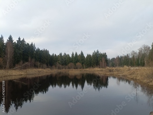 Small pond in forest in Siauliai county during cloudy early spring day. Oak and birch tree woodland. cloudy day with white clouds in blue sky. Bushes are growing in woods. Nature. Miskas. 