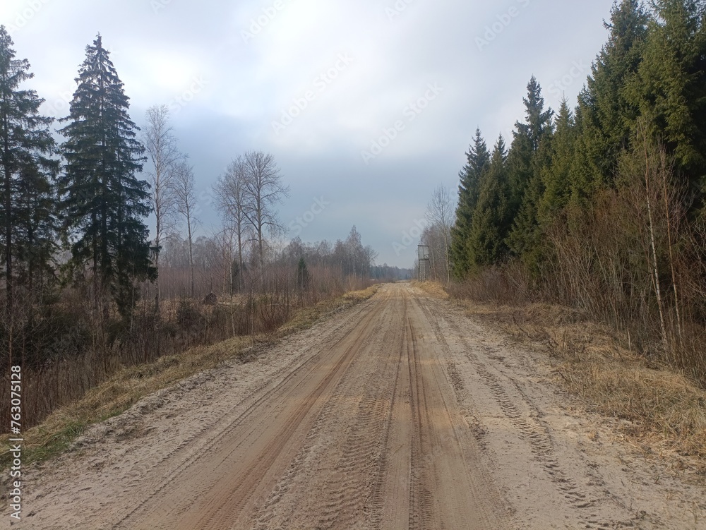Road in forest in Siauliai county during cloudy early spring day. Oak and birch tree woodland. cloudy day with white clouds in blue sky. Bushes are growing in woods. Sandy road. Nature. Miskas. Road in forest in Siauliai county during cloudy early spring day. Oak and birch tree woodland. cloudy day with white clouds in blue sky. Bushes are growing in woods. Sandy road. Nature. Miskas.