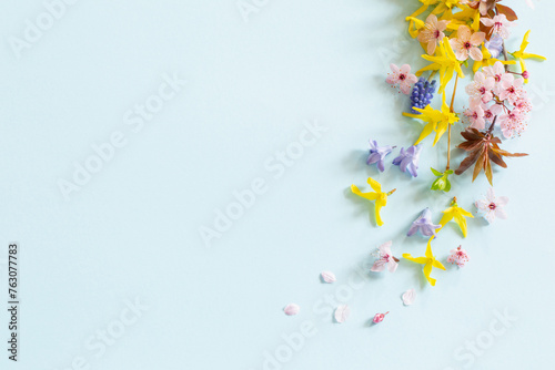 spring flowers on blue paper background