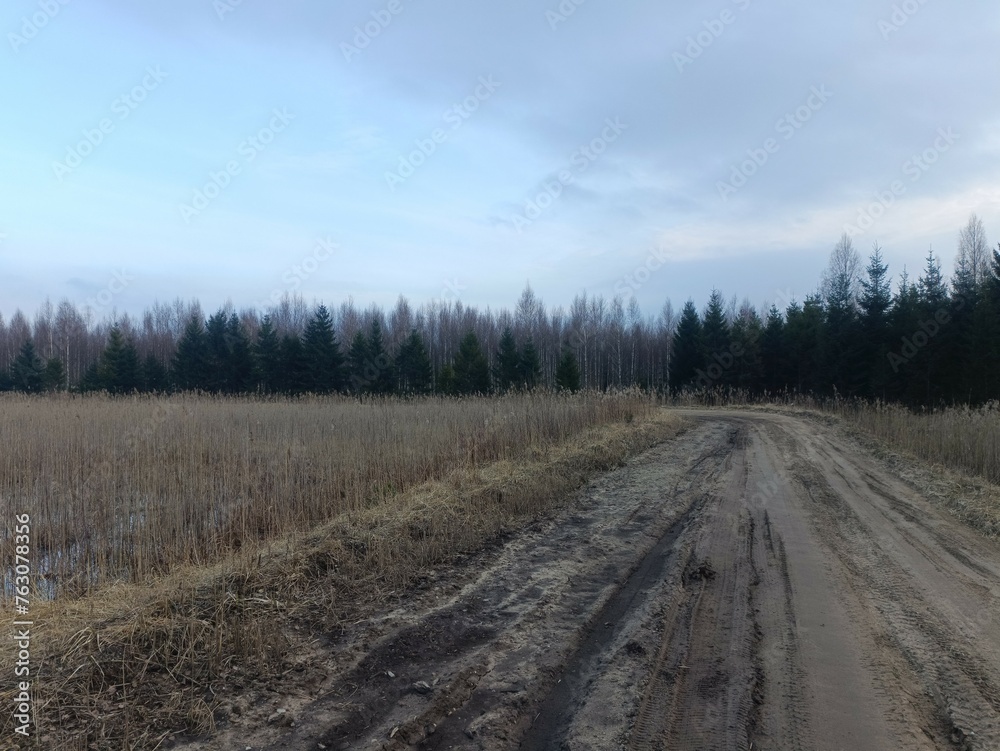 Road in forest in Siauliai county during cloudy early spring day. Oak and birch tree woodland. cloudy day with white clouds in blue sky. Bushes are growing in woods. Sandy road. Nature. Miskas. Road in forest in Siauliai county during cloudy early spring day. Oak and birch tree woodland. cloudy day with white clouds in blue sky. Bushes are growing in woods. Sandy road. Nature. Miskas.