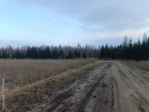 Road in forest in Siauliai county during cloudy early spring day. Oak and birch tree woodland. cloudy day with white clouds in blue sky. Bushes are growing in woods. Sandy road. Nature. Miskas.  © Mindaugas
