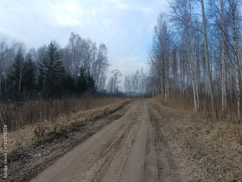 Road in forest in Siauliai county during cloudy early spring day. Oak and birch tree woodland. cloudy day with white clouds in blue sky. Bushes are growing in woods. Sandy road. Nature. Miskas. Road in forest in Siauliai county during cloudy early spring day. Oak and birch tree woodland. cloudy day with white clouds in blue sky. Bushes are growing in woods. Sandy road. Nature. Miskas.