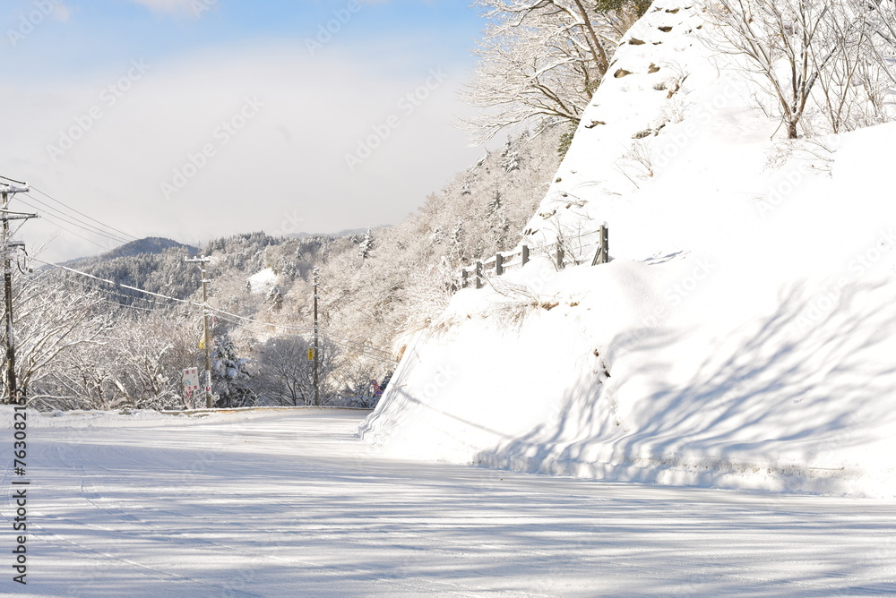 岐阜県の雪景