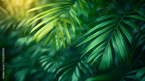 A stripe of palm leaf on a background of abstract green texture, with a vintage vibe © Zaleman