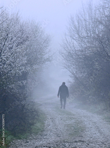 Man on the Foggy Path
