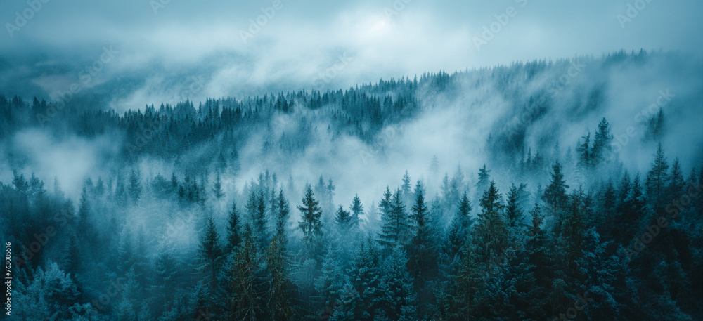 Fototapeta premium Dark fog and mist over a moody forest landscape
