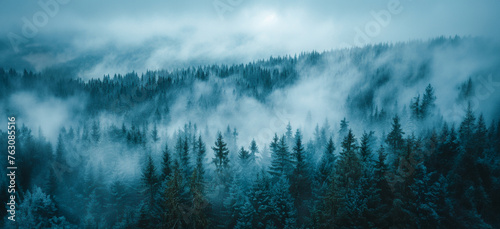 Dark fog and mist over a moody forest landscape © Volodymyr