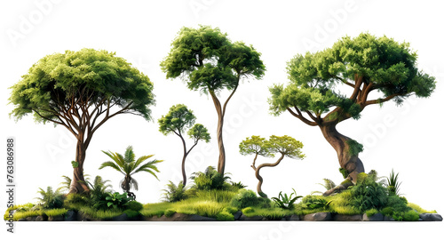 Variety of trees with rich foliage
