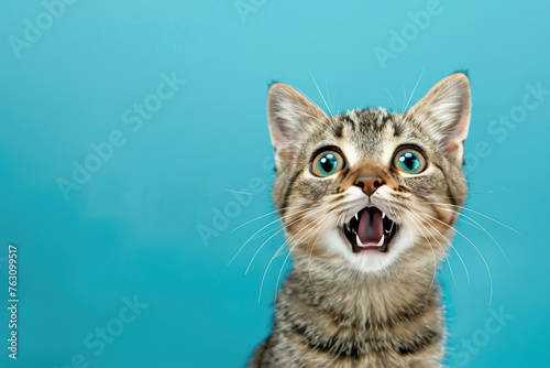 Cat looking surprised, reacting amazed, impressed or scared over solid blue background photo