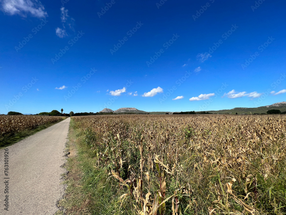 Scenery and farmland around Torroella de Montgri Scenery and farmland around Torroella de Montgri