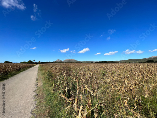 Scenery and farmland around Torroella de Montgri