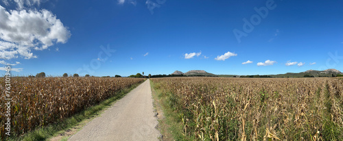 Panorama from farmland around Torroella de Montgri photo