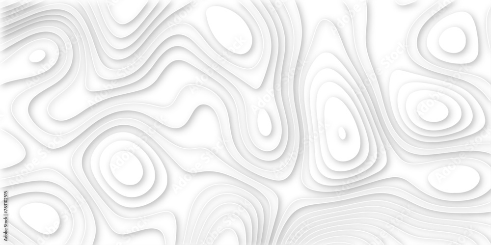 Abstract geometric layered curve line white background. 3d render, paper cut vector art background banner texture. multi layer cutout geometric patterns with smooth wavy layer. white background. Abstract geometric layered curve line white background. 3d render, paper cut vector art background banner texture. multi layer cutout geometric patterns with smooth wavy layer. white background.