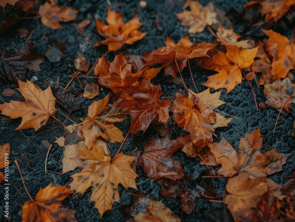 A vibrant, close-up shot of autumn leaves on the ground, emphasizing the texture and colors of fall, A vibrant, close-up shot of autumn leaves on the ground, emphasizing the texture and colors of fall,