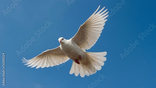 white dove in flight against the blue sky, closeup of photo