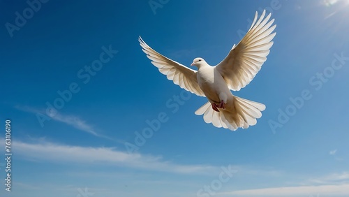 white dove in flight against the blue sky  closeup of photo