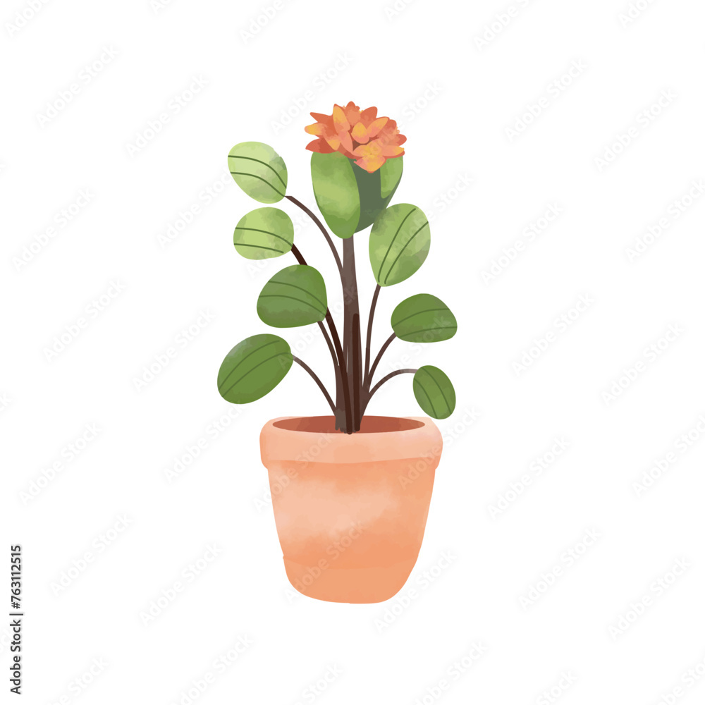 Green house plant in pot isolated on white background. Hand drawn vector illustration.