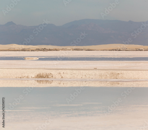 salt marsh in the desert, Mexico
