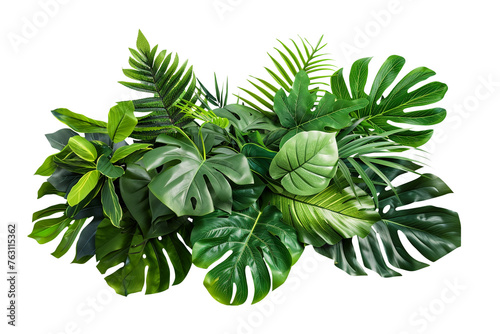 Bunch of various tropical green leaves. Nature element for design. Transparent PNG.