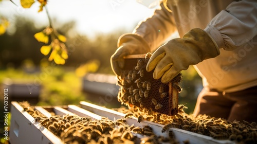 Eco-friendly beehive relocation hands and flying bees dusk