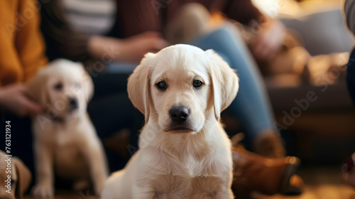 Cute puppy sitting indoors looking at camera surrounded by friends