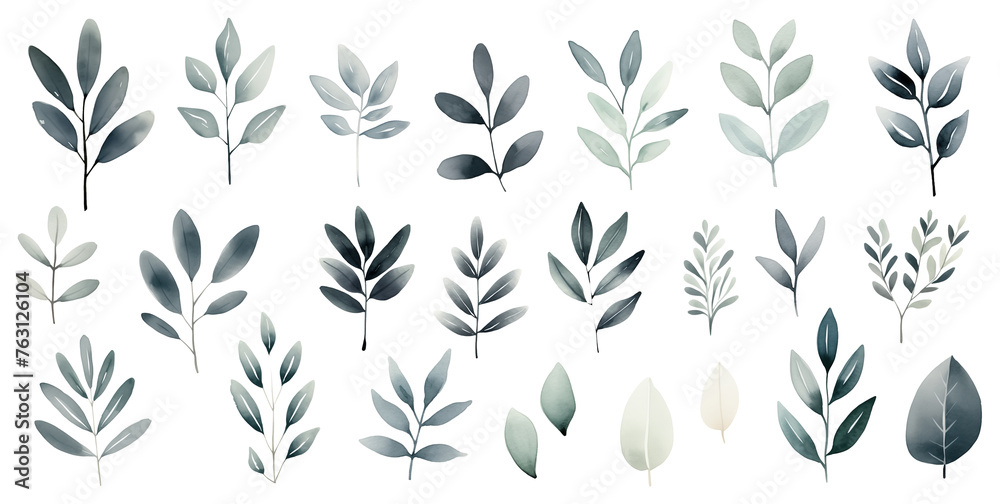 Collection of watercolor leaves in various shades isolated on white background.