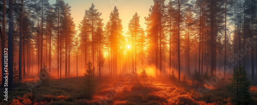 Golden sunrise peeking through misty forest trees