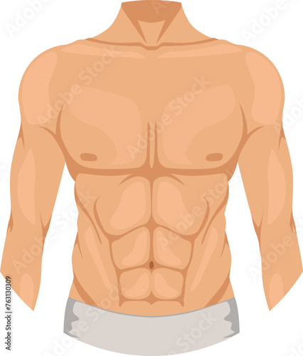 Male chest. Man upper body color icon