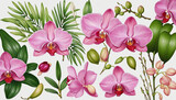 Set of pink orchid flower with tropical leaves and elements isolated on transparent background
