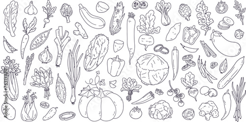 Hand drawn organic farmer harvest, fresh sliced vegetable doodles. Healthy food ingredients, exotic vegetables, onion and tomato slices, vitamin rich vegetarian food sketch sticker vector set