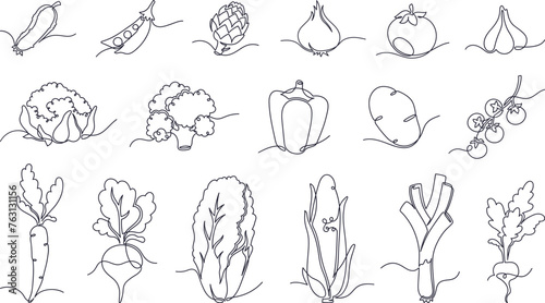 One line vegetable doodles, hand drawn linear cabbage and tomato. Minimalist continuous line vegetables, organic farmer harvest, corn and potato, healthy food ingredients monoline sketch vector set