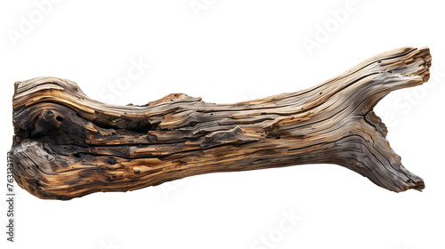 Sculpted driftwood piece with intricate grain patterns isolated on transparent background