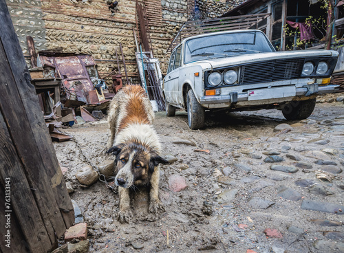 Dog on a chain in house in Sighnaghi town in Kakheti region, Georgia photo