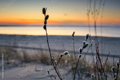 Fototapeta Naklejka Na Ścianę i Meble -  A beautiful sunset on the beach of the Sobieszewo Island at the Baltic Sea at spring. Poland
