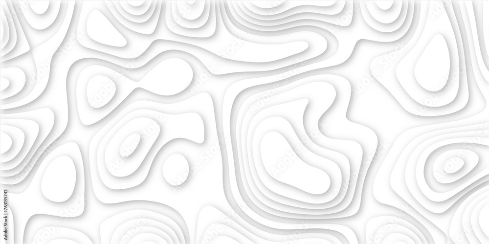 Abstract geometric layered curve line white background. 3d render, paper cut vector art background banner texture. multi layer cutout geometric patterns with smooth wavy layer. white background. Abstract geometric layered curve line white background. 3d render, paper cut vector art background banner texture. multi layer cutout geometric patterns with smooth wavy layer. white background.
