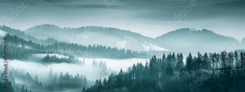 Amazing mystical rising fog mountains sky forest trees landscape view in black forest ( Schwarzwald ) winter, Germany panorama panoramic banner - mystical snow foggy mood © JovialFox