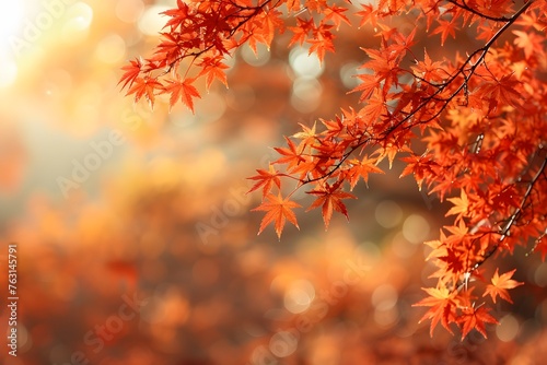 Close Up of a Tree With Red Leaves