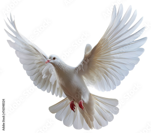 White dove in mid-flight against  cut out - stock png.