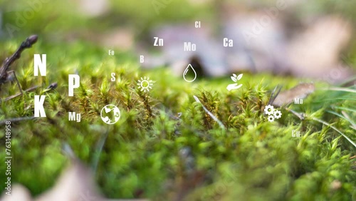 NPK, Nitrogen, Phosphorus, Potassium, Garden Fertilizer Chart, Guide, Infographic 4k video