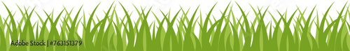 Seamless border with green grass. Vector and PNG on transparent background.