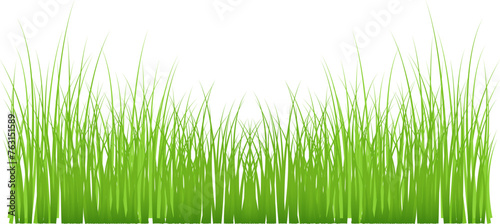 Easter background - Green grass meadow meadow border vector drawing. Spring summer plant field lawn plant. Grass background vector illustration.